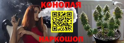 прущие крисы Можайск